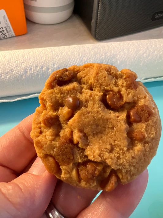 Chocolate Chip Cookie Wax Melt